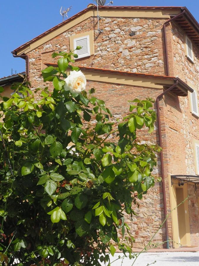 Uliveto Terme La Casa Di Samarcanda מראה חיצוני תמונה
