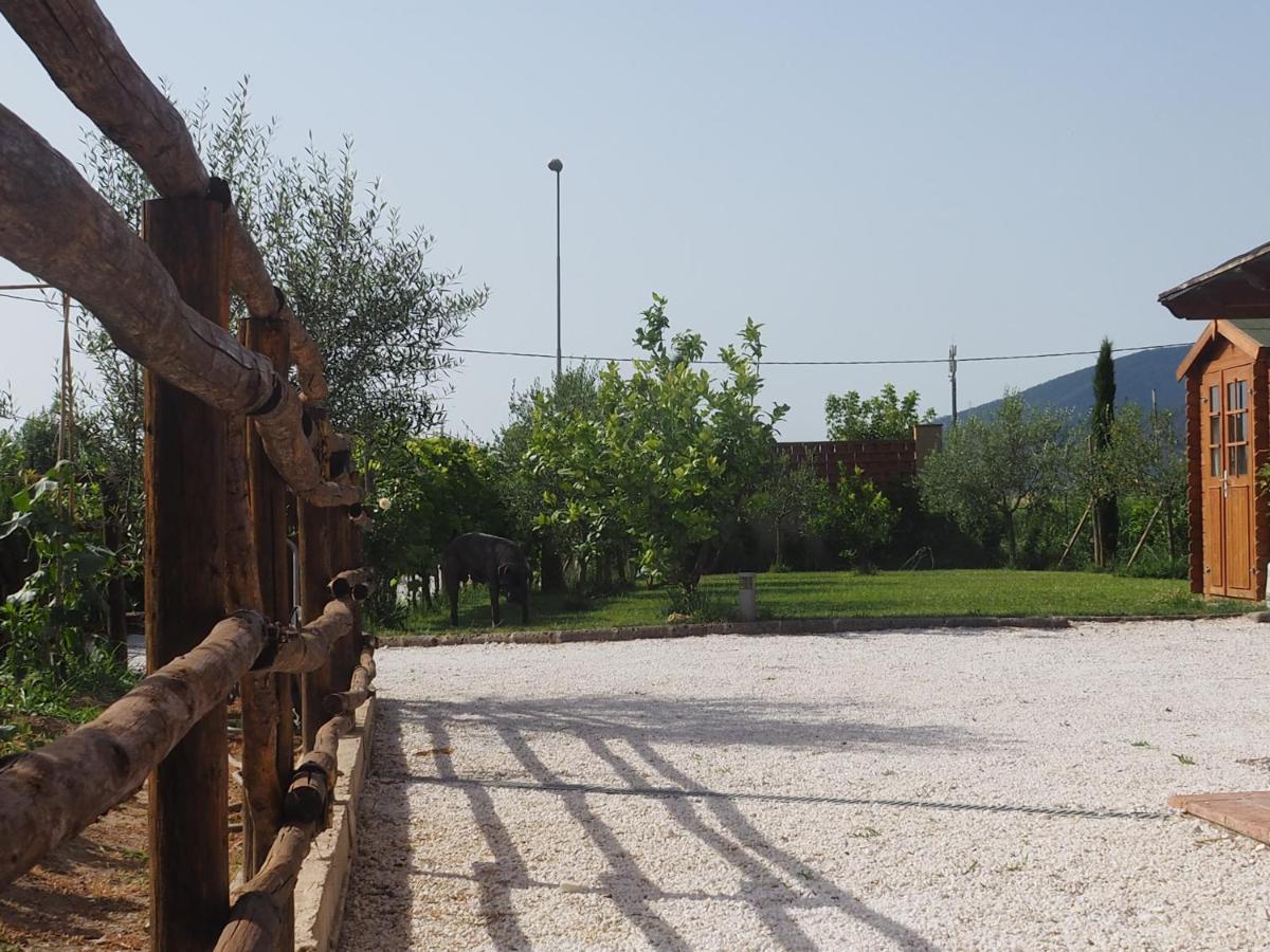 Uliveto Terme La Casa Di Samarcanda מראה חיצוני תמונה