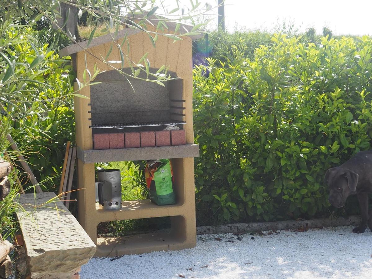 Uliveto Terme La Casa Di Samarcanda מראה חיצוני תמונה