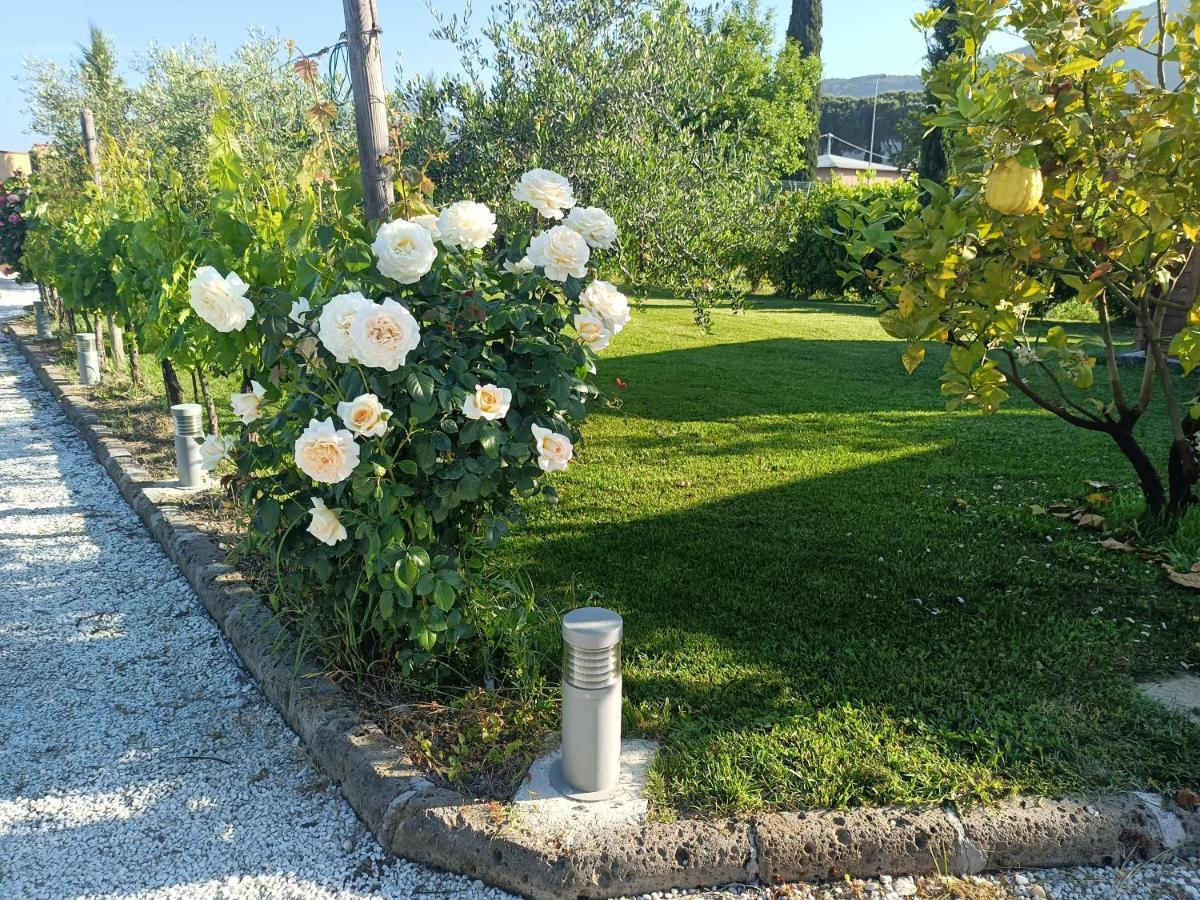 Uliveto Terme La Casa Di Samarcanda מראה חיצוני תמונה